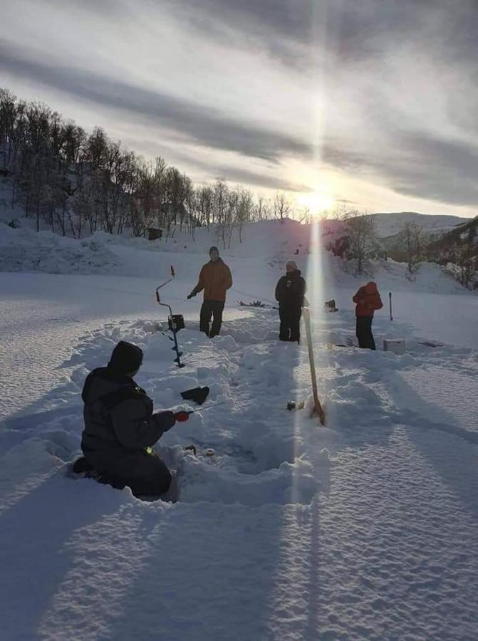 Senja Arctic Lodge Stonglandseidet المظهر الخارجي الصورة