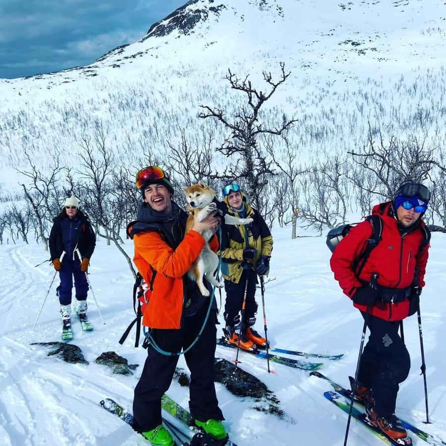 Senja Arctic Lodge Stonglandseidet المظهر الخارجي الصورة