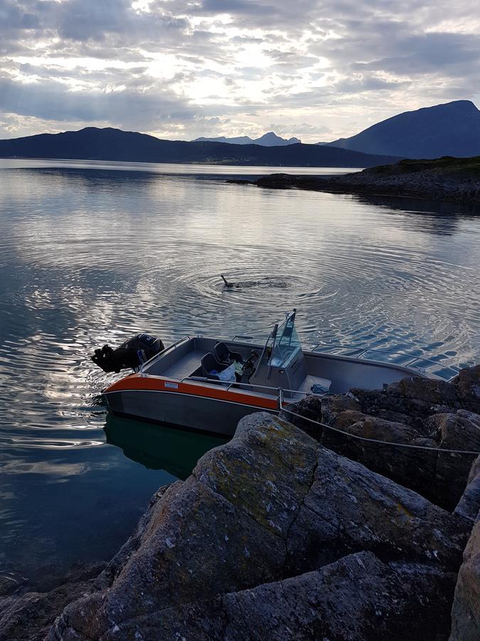 Senja Arctic Lodge Stonglandseidet المظهر الخارجي الصورة