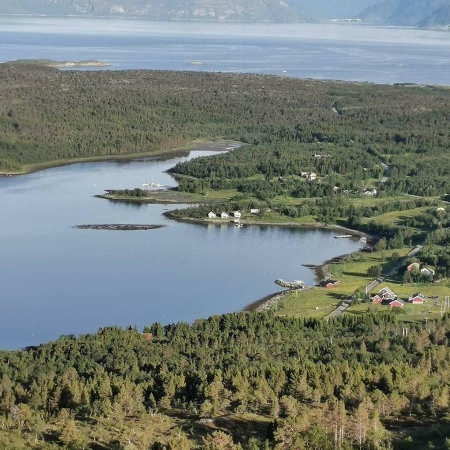 Senja Arctic Lodge Stonglandseidet المظهر الخارجي الصورة