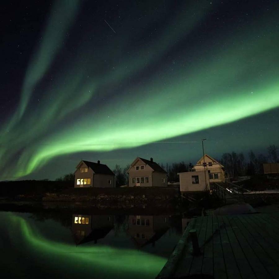 Senja Arctic Lodge Stonglandseidet المظهر الخارجي الصورة
