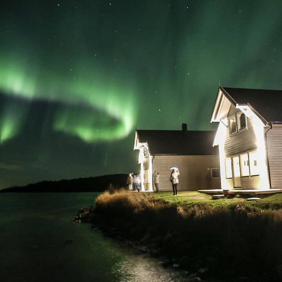 Senja Arctic Lodge Stonglandseidet المظهر الخارجي الصورة